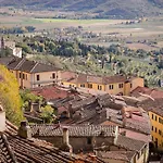 Belvedere * Cortona